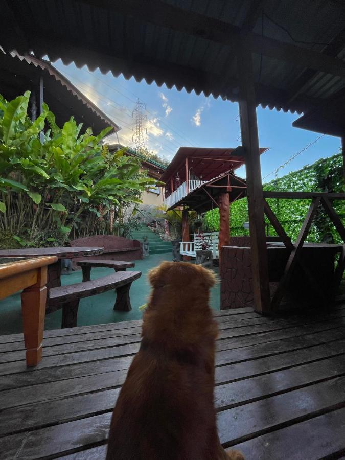 Dreams Lodge Orosi Cartago Eksteriør billede