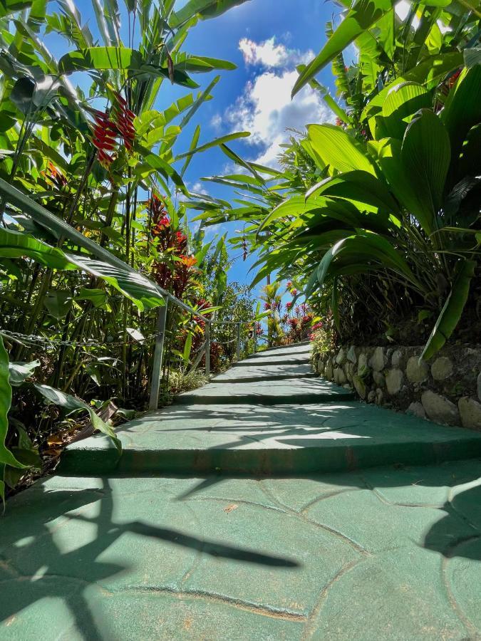 Dreams Lodge Orosi Cartago Eksteriør billede