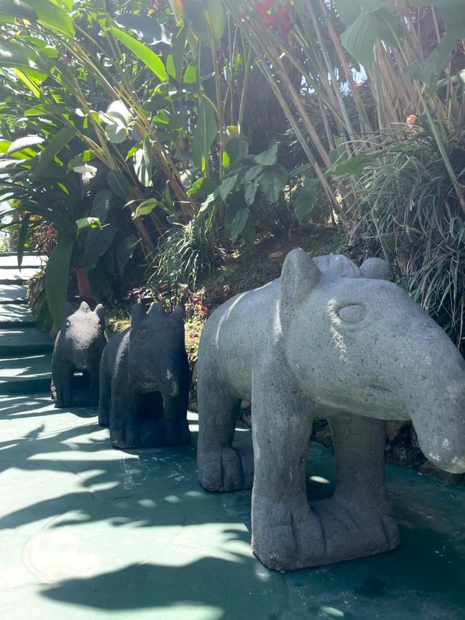 Dreams Lodge Orosi Cartago Eksteriør billede