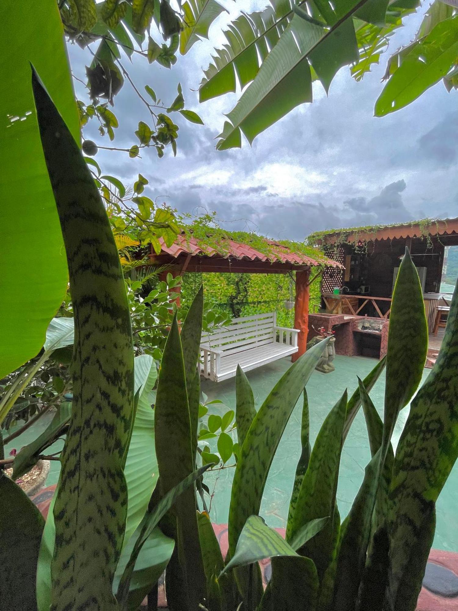 Dreams Lodge Orosi Cartago Eksteriør billede